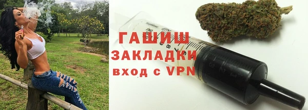 индика Надым