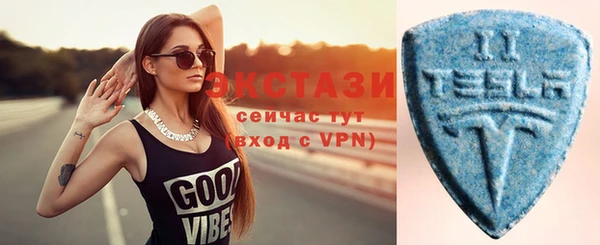 индика Надым