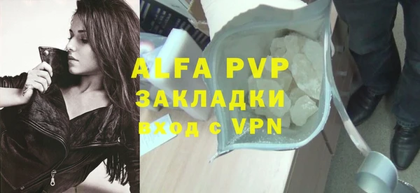 индика Надым