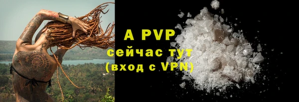 прущие грибы Наволоки