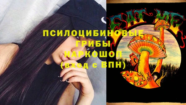 прущие грибы Наволоки