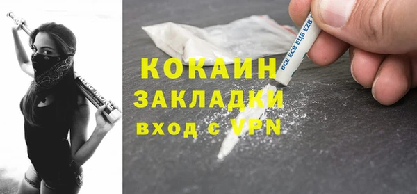 прущие грибы Наволоки