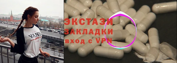 индика Надым