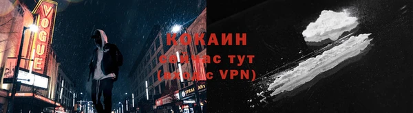 индика Надым