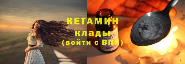 прущие грибы Наволоки