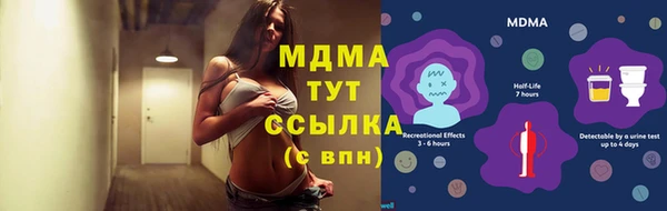 прущие грибы Наволоки
