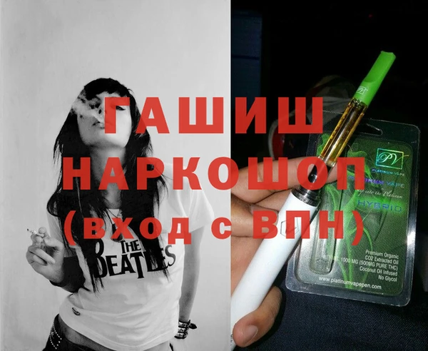 индика Надым