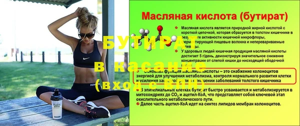 индика Надым