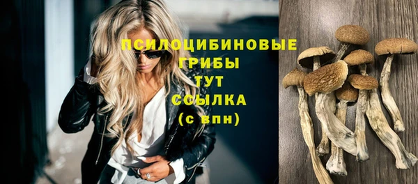 гашик Нефтекумск