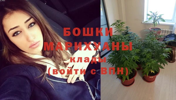 индика Надым