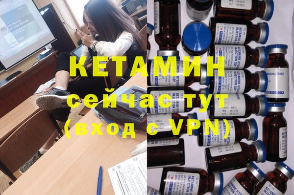 прущие грибы Наволоки