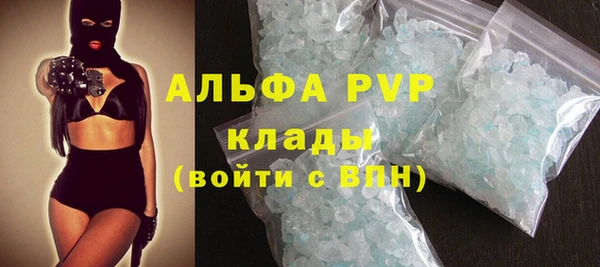 индика Надым