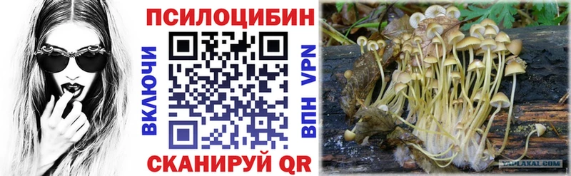 мега ONION  купить наркотик  Новокубанск  сайты даркнета наркотические препараты  Галлюциногенные грибы MAGIC MUSHROOMS 