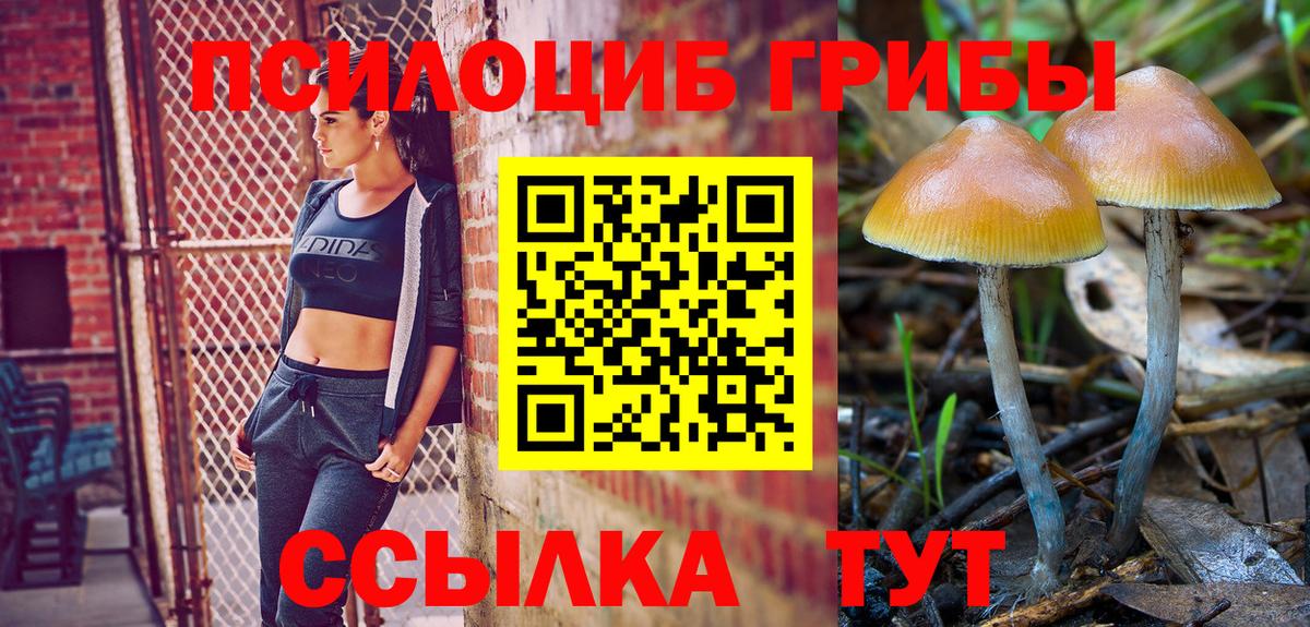Новокубанск  Псилоцибиновые грибы MAGIC MUSHROOMS  Вход с VPN 