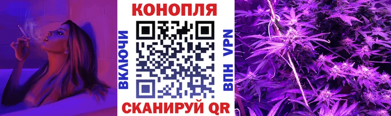 Конопля марихуана Новокубанск